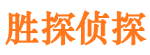 辰溪寻人公司